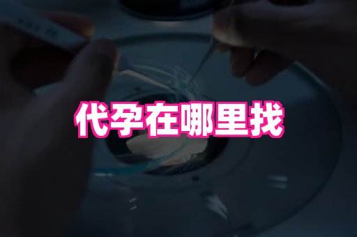 贵州助孕网站 2