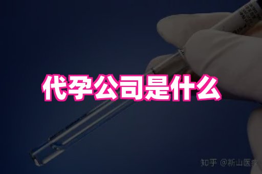 贵州助孕网站 3