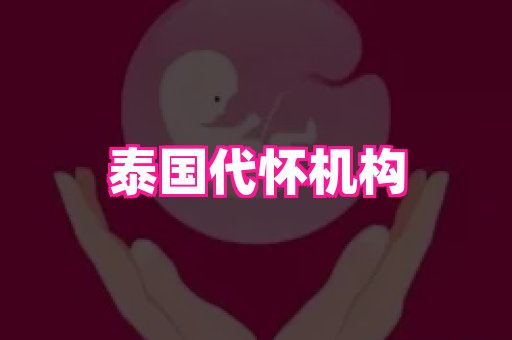 贵州助孕网站 4